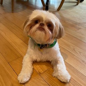 Meet your Posher, Deborah